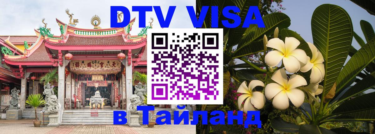 Сколько стоит DTV виза — актуальные цены, оформление даже без документов - Дамаск 